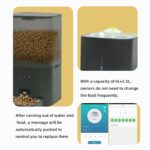 Smart Pet Feeder - Image 6